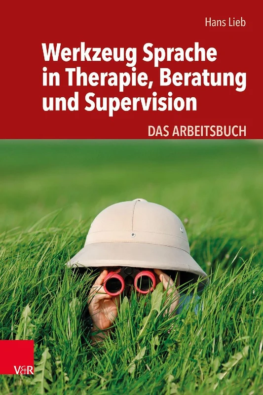 Werkzeug Sprache in Therapie, Beratung und Supervision