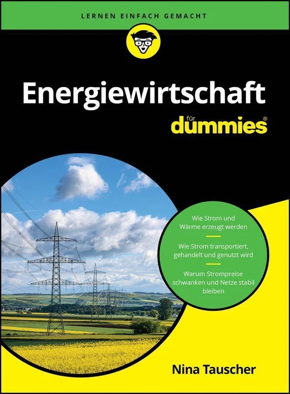 Energiewirtschaft für Dummies