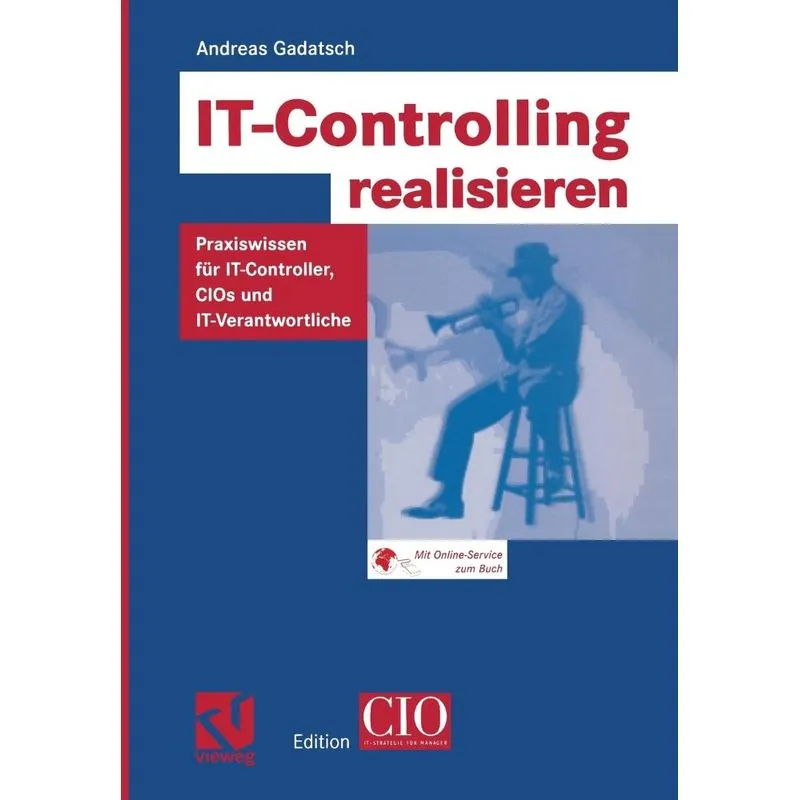 IT-Controlling realisieren