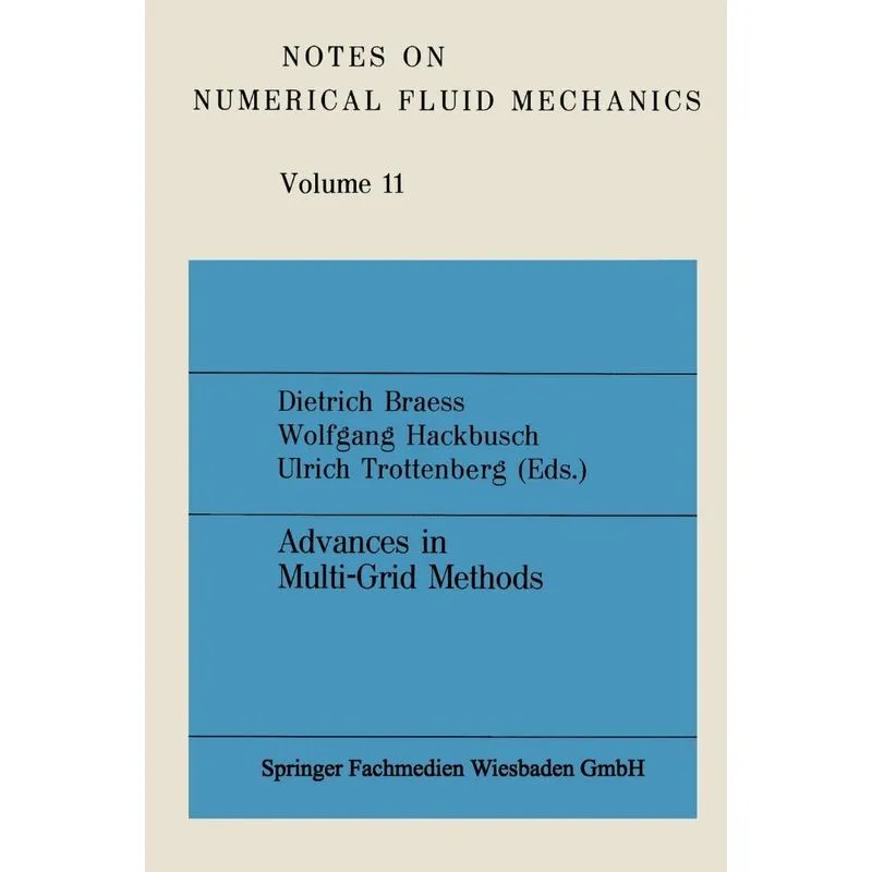 Advances in Multi-Grid Methods