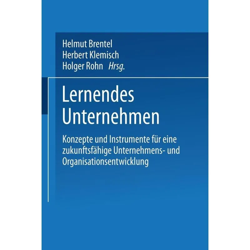 Lernendes Unternehmen