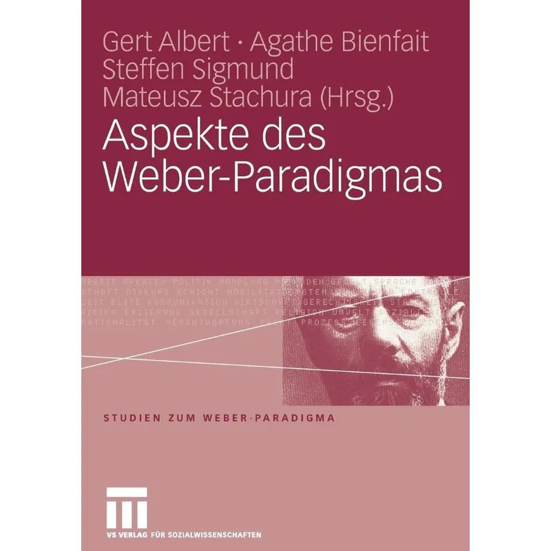 Aspekte des Weber-Paradigmas