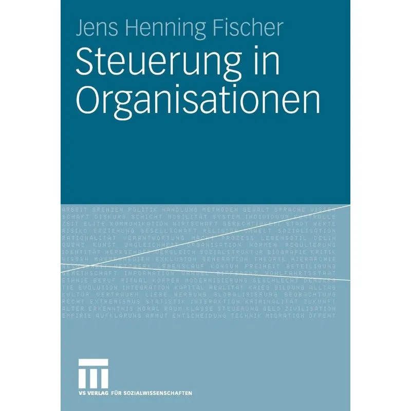 Steuerung in Organisationen