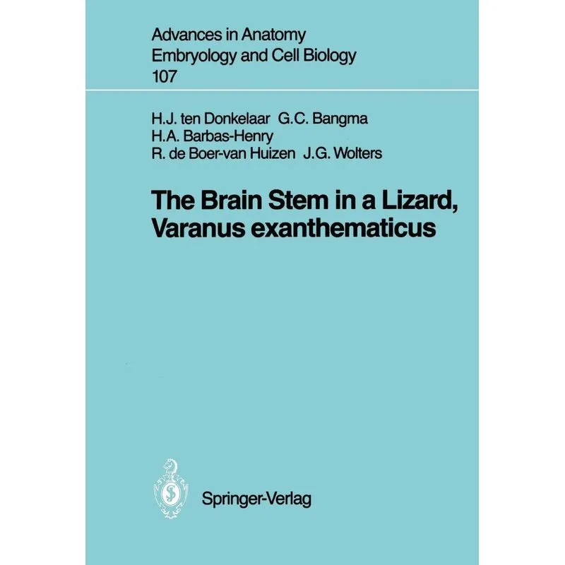 The Brain Stem in a Lizard, Varanus exanthematicus