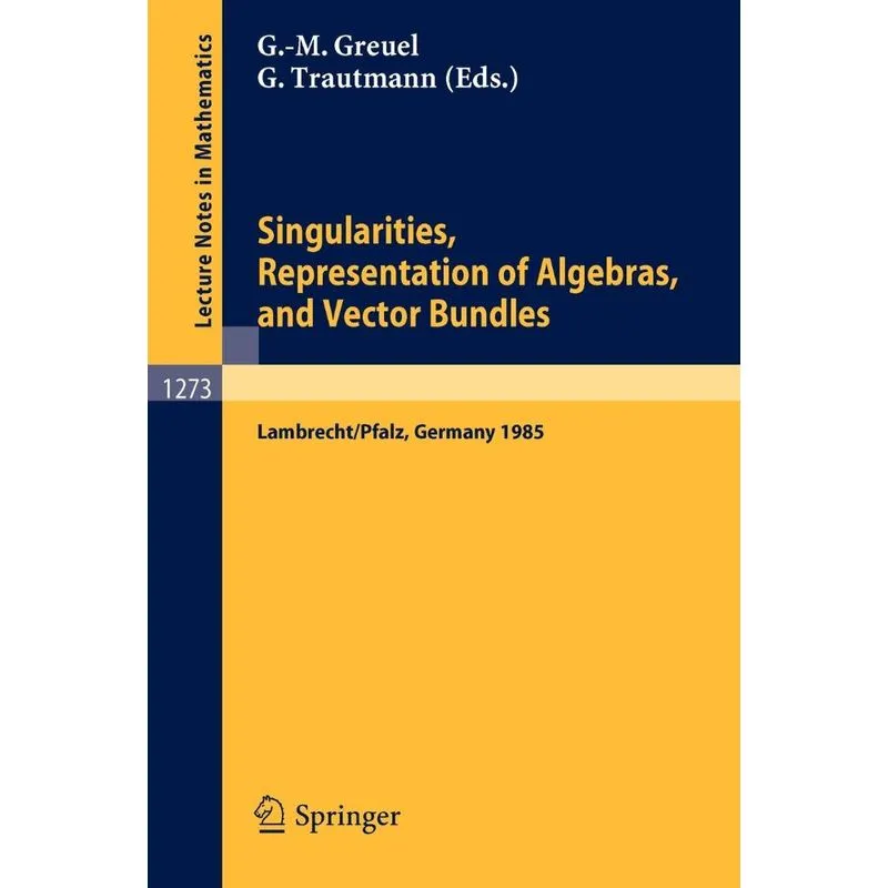 Singularities, Representation of Algebras, and Vector Bundl