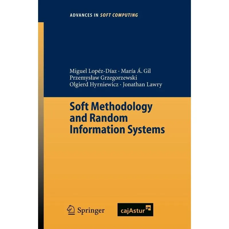 Soft Methodology and Random Information Systems