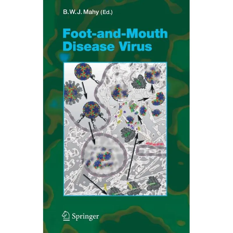 Foot-And-Mouth Disease Virus