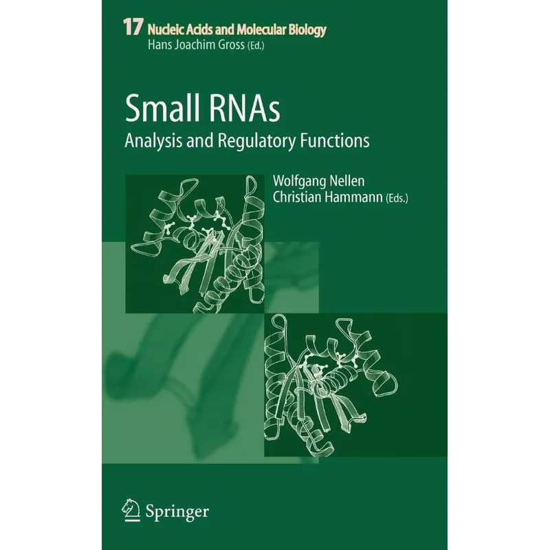 Small RNAs