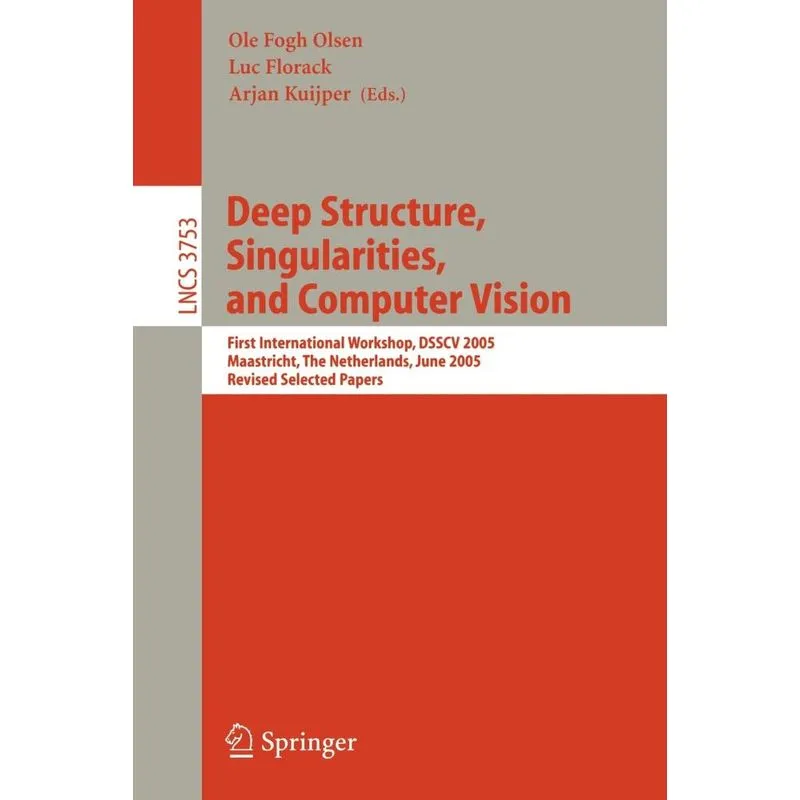 Deep Structure, Singularities, and Computer Vision