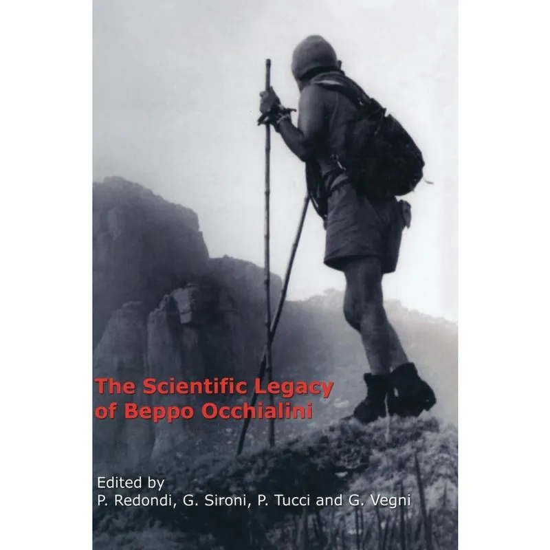 The Scientific Legacy of Beppo Occhialini