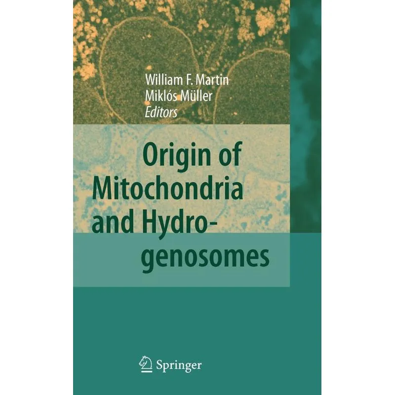Origin of Mitochondria and Hydrogenosomes