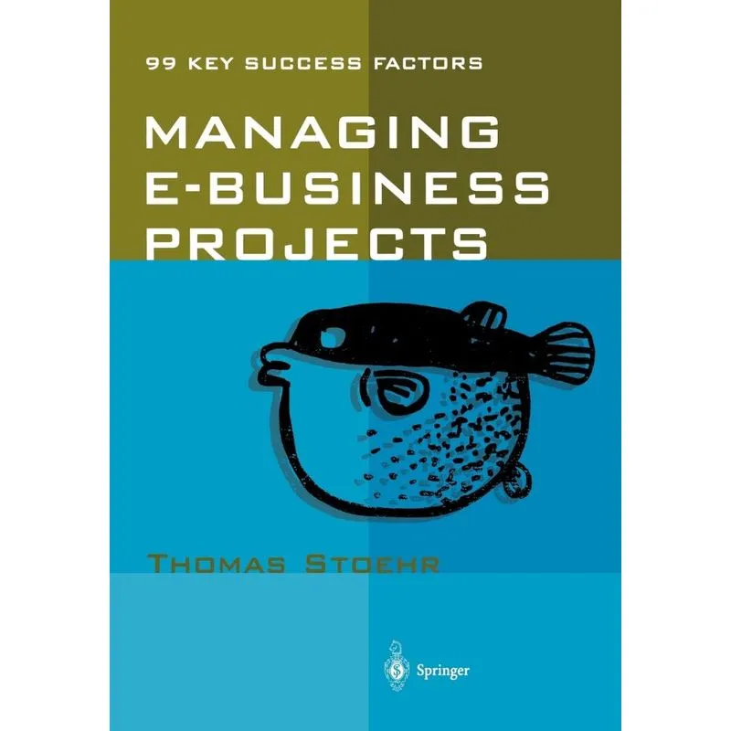 Managing e-business Projects