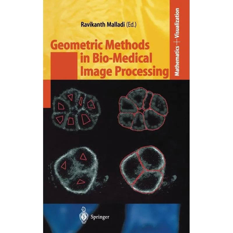 Geometric Methods in Bio-Medical Image Processing