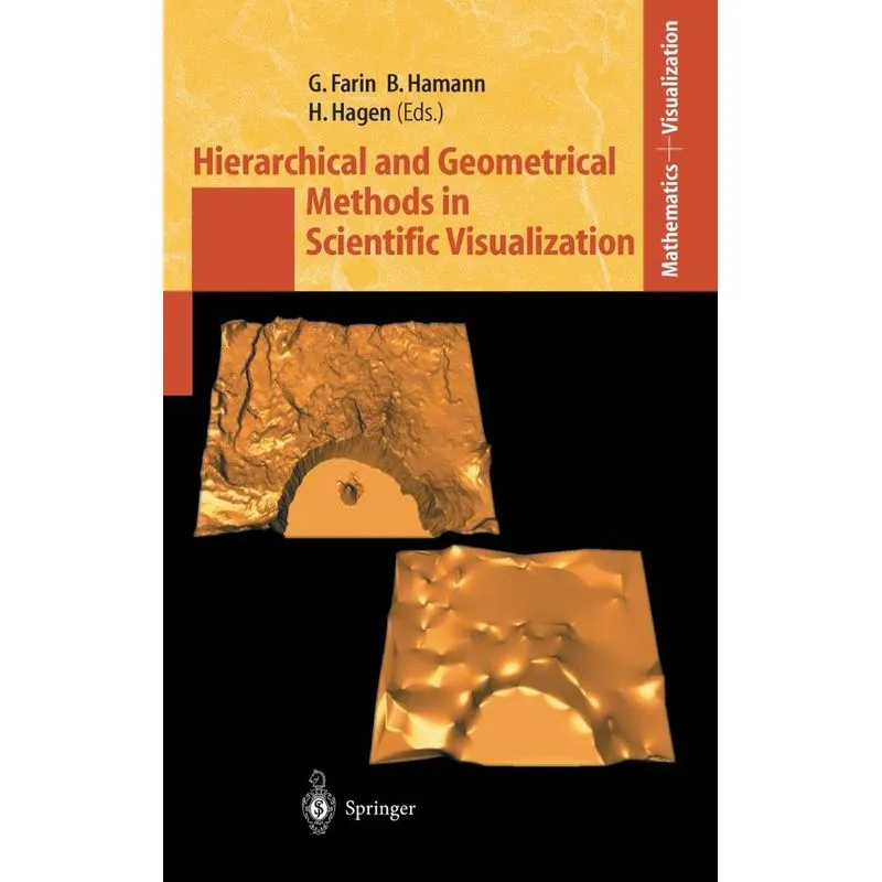 Hierarchical and Geometrical Methods in Scientific Visualiz