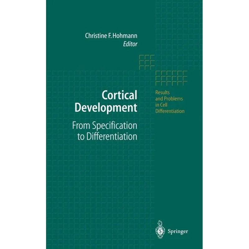 Cortical Development