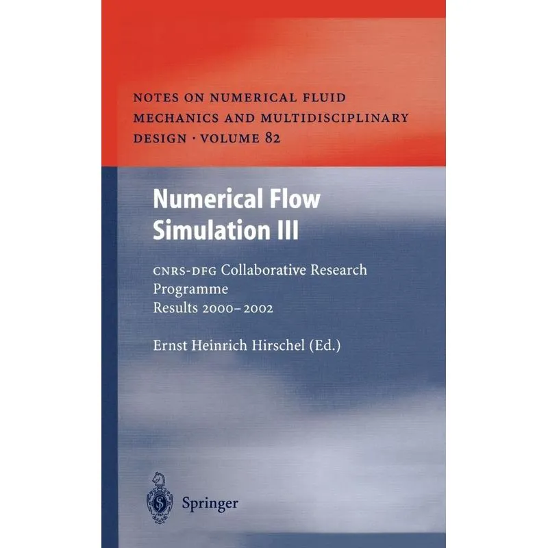 Numerical Flow Simulation III