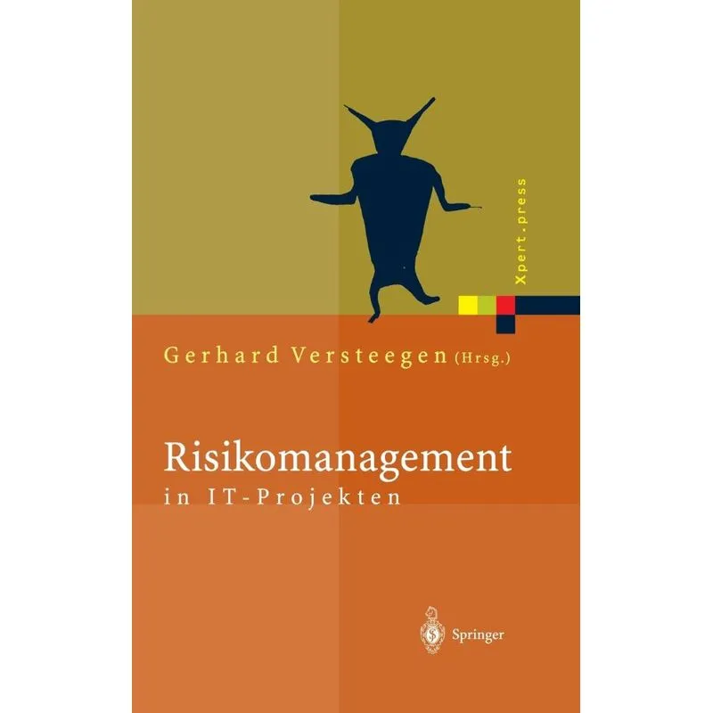 Risikomanagement in IT-Projekten