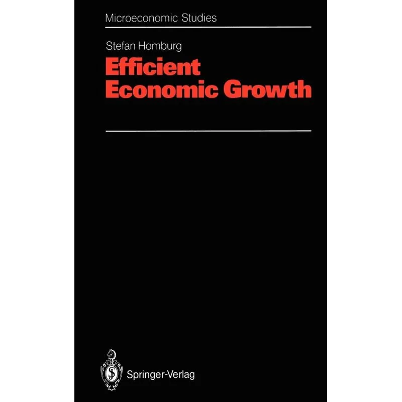Efficient Economic Growth