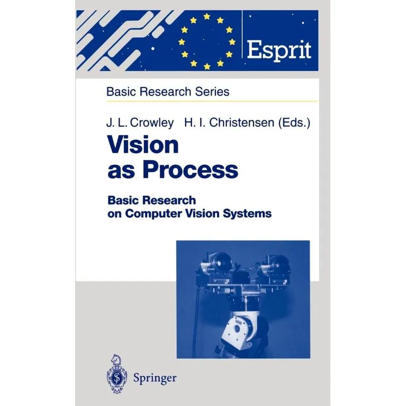 Vision as Process