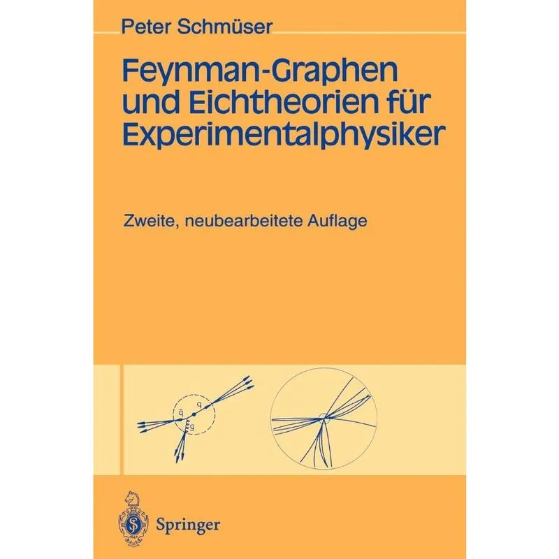 Feynman-Graphen und Eichtheorien für Experimentalphysiker
