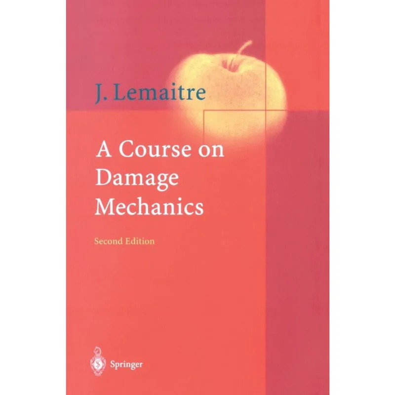 A Course on Damage Mechanics