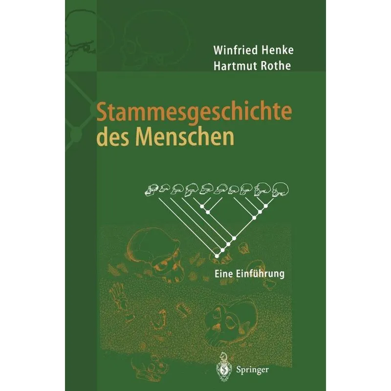 Stammesgeschichte des Menschen