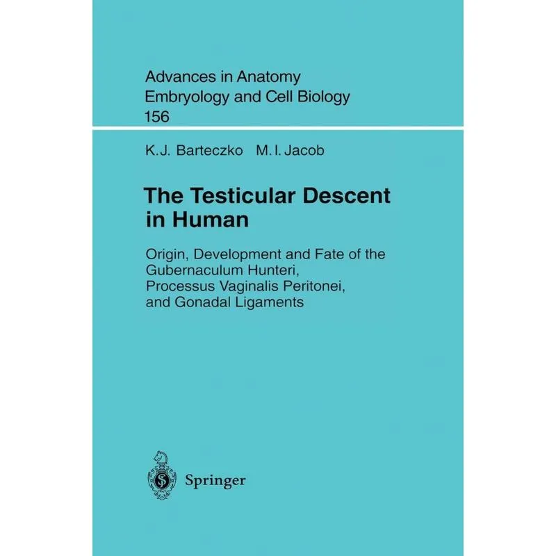 The Testicular Descent in Human