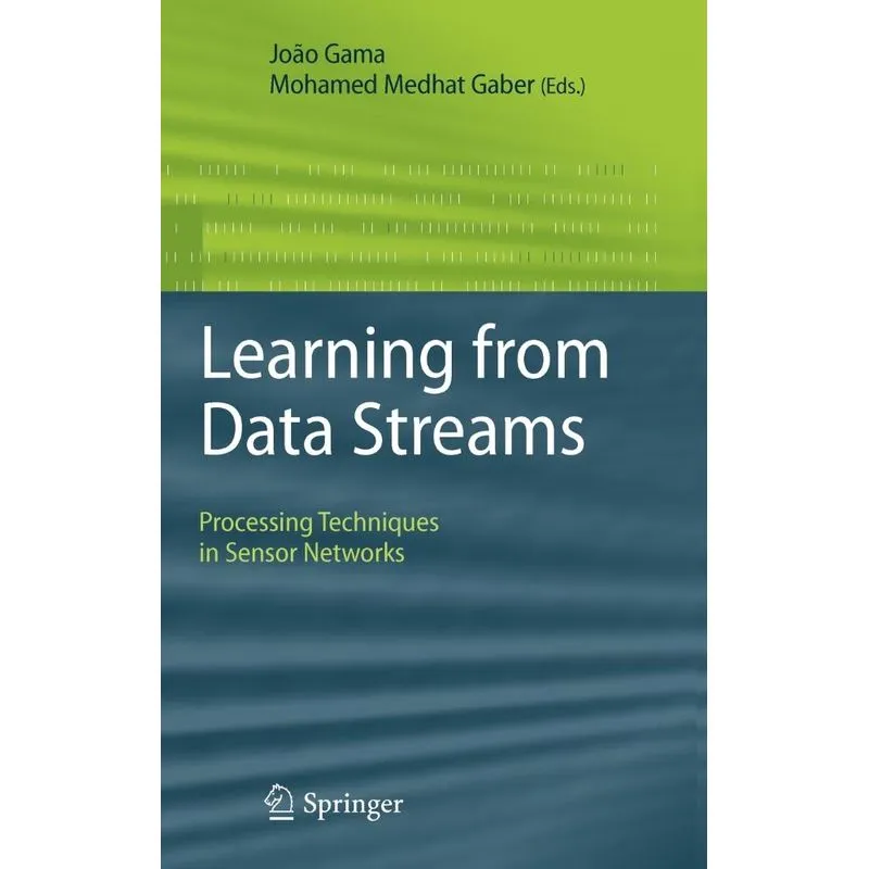 Learning from Data Streams