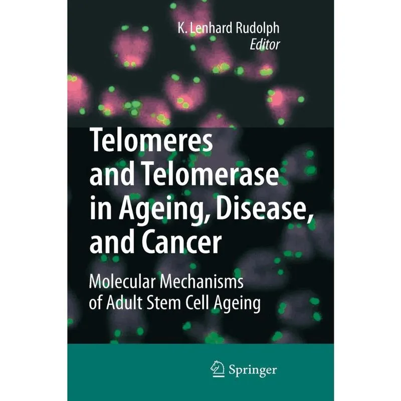 Telomeres and Telomerase in Ageing, Disease, and Cancer