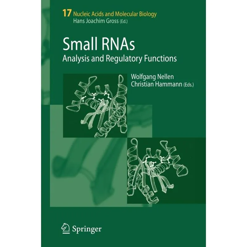 Small RNAs
