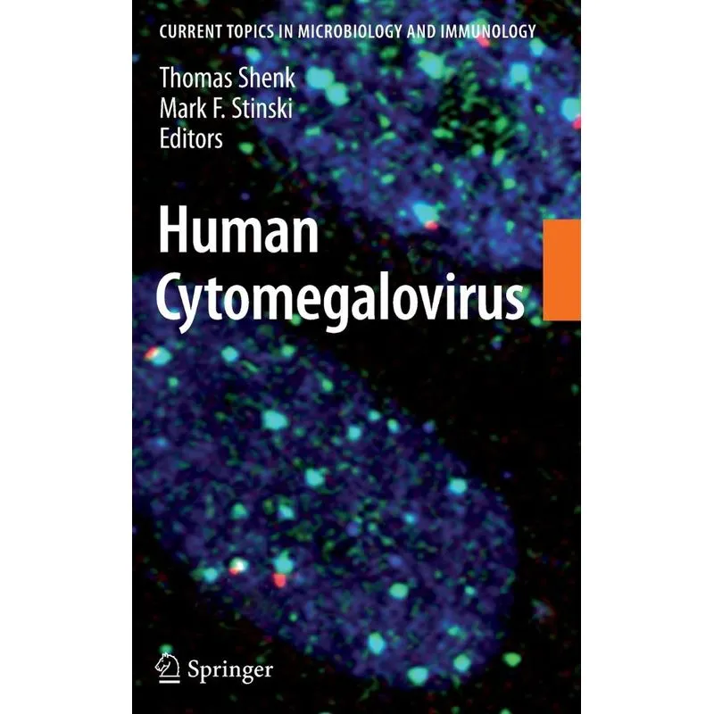Human Cytomegalovirus
