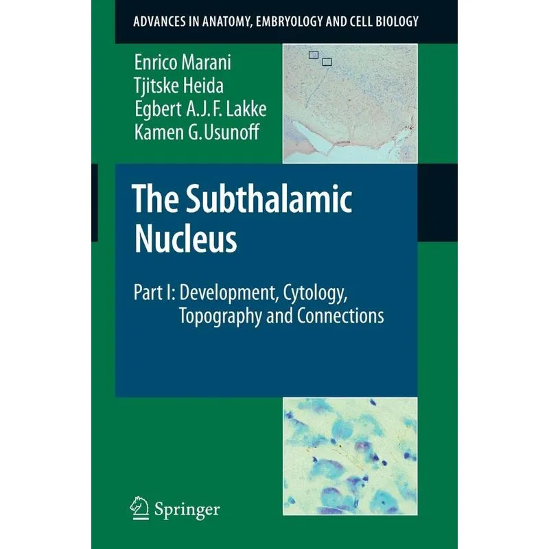The Subthalamic Nucleus