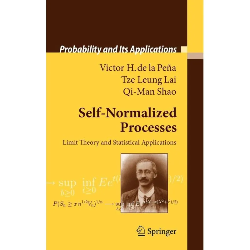 Self-Normalized Processes