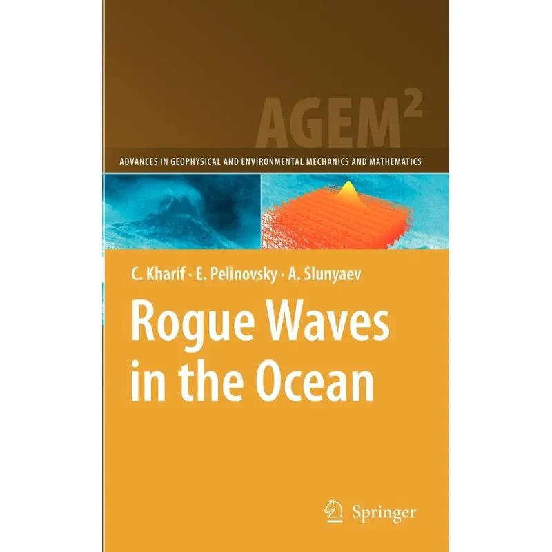 Rogue Waves in the Ocean