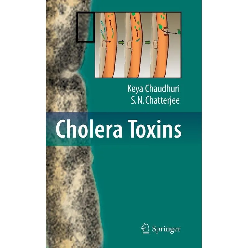 Cholera Toxins