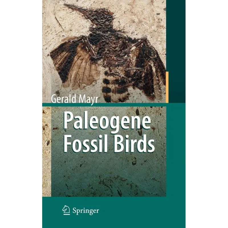 Paleogene Fossil Birds