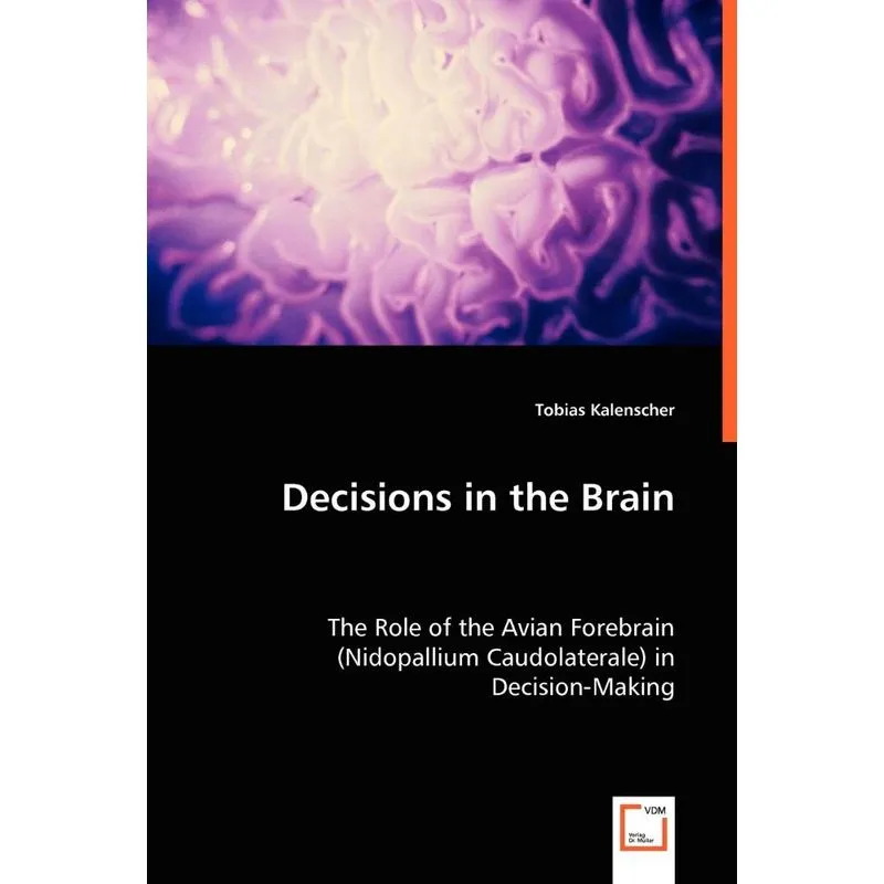 Decisions In The Brain