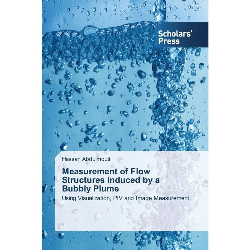 Measurement of Flow Structures Induced by a Bubbly Plume