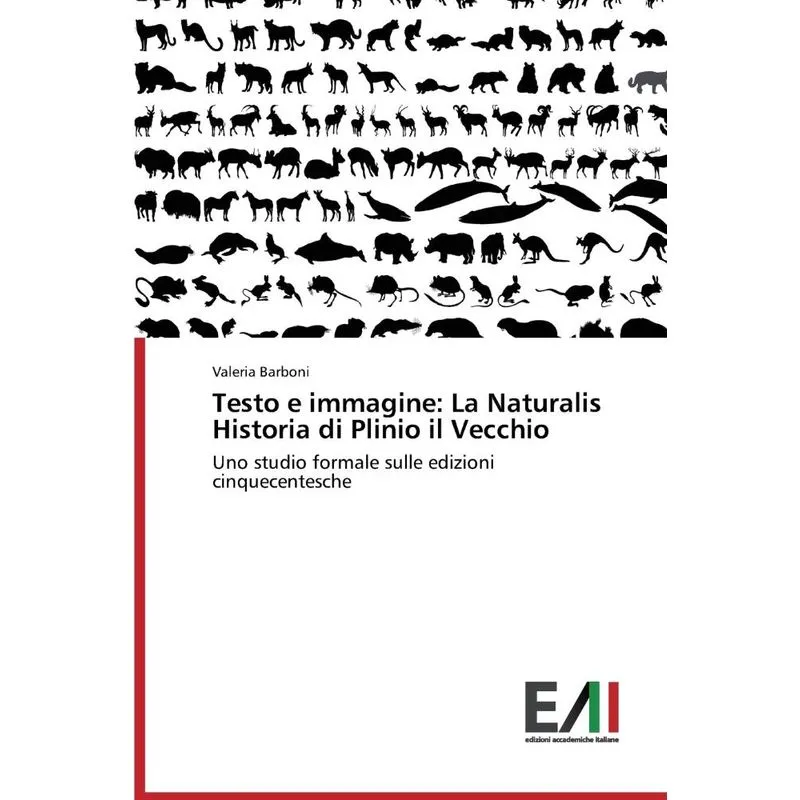 Testo E Immagine