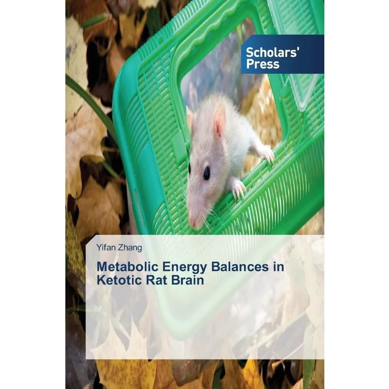 Metabolic Energy Balances in Ketotic Rat Brain