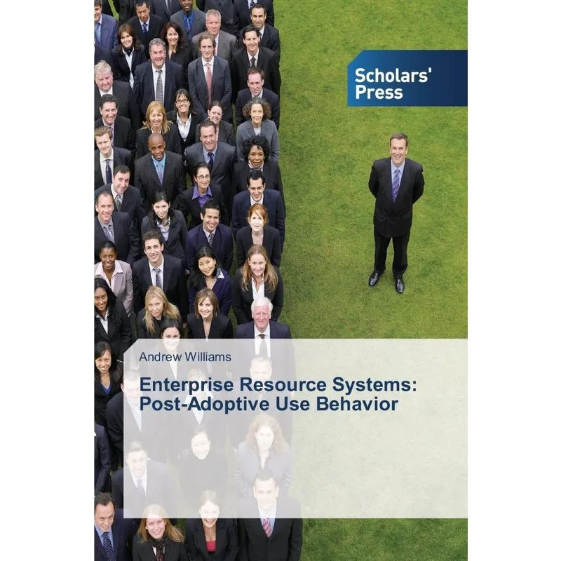 Enterprise Resource Systems