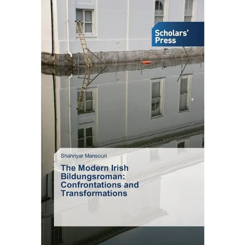 The Modern Irish Bildungsroman