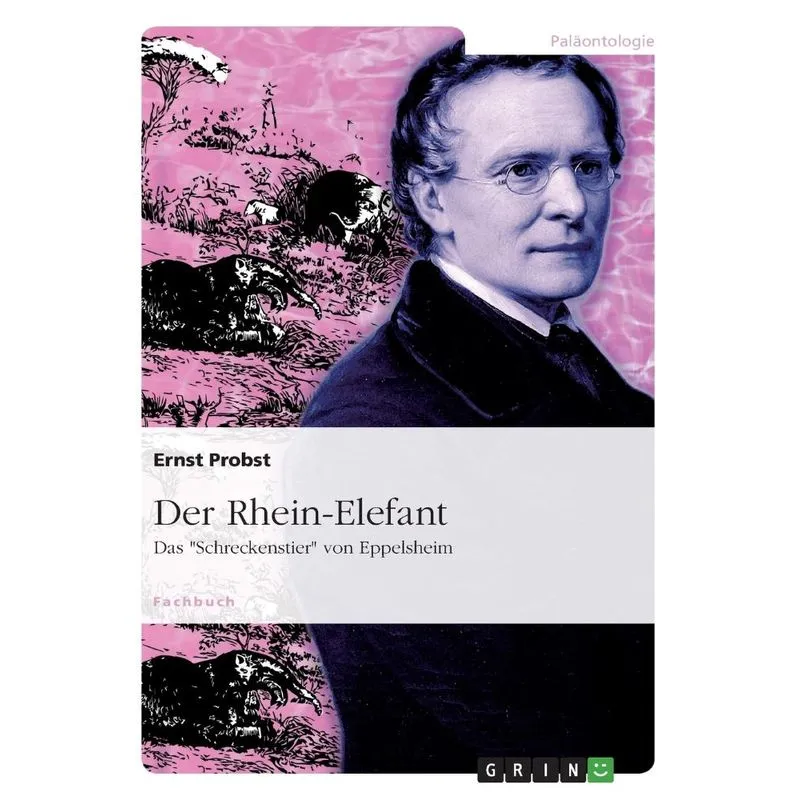 Der Rhein-Elefant