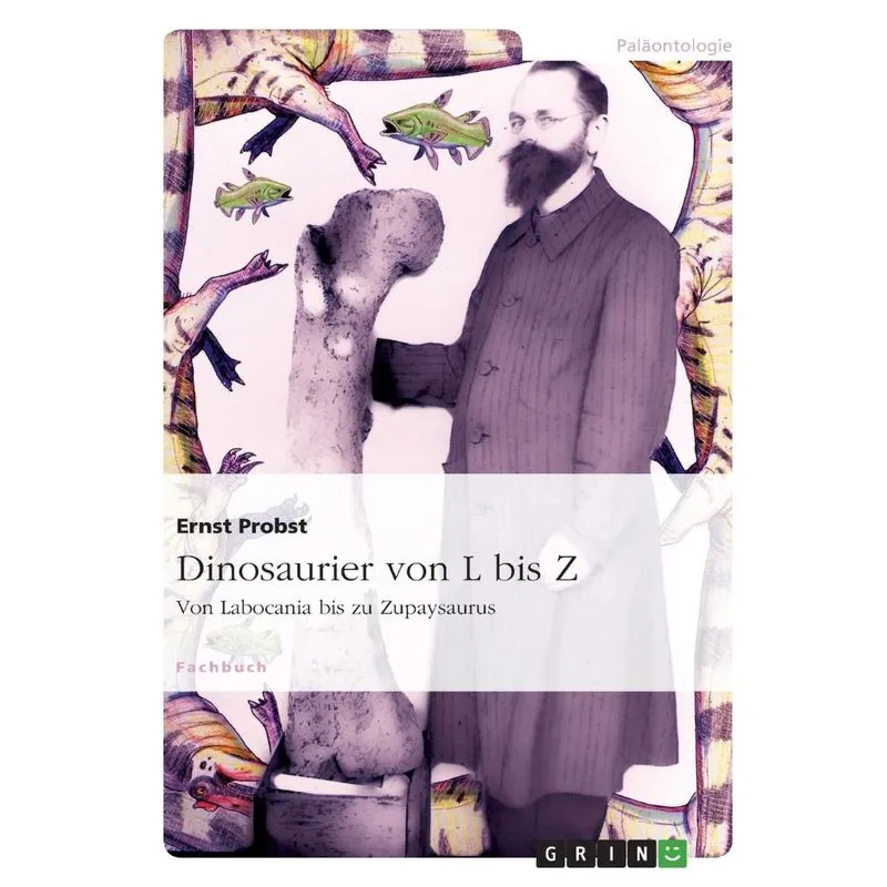 Dinosaurier Von L Bis Z