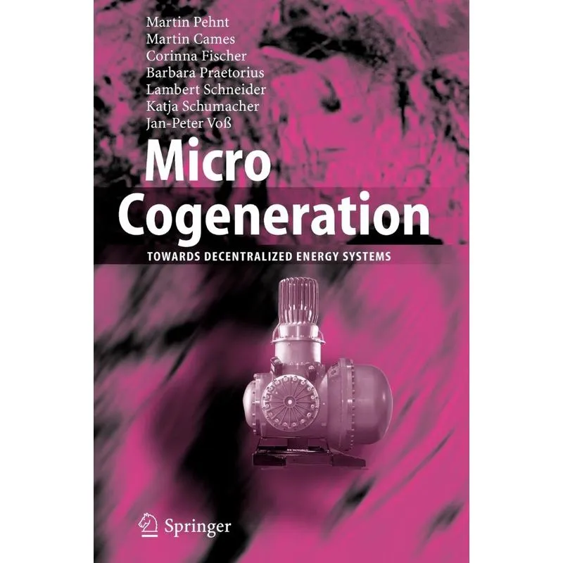 Micro Cogeneration