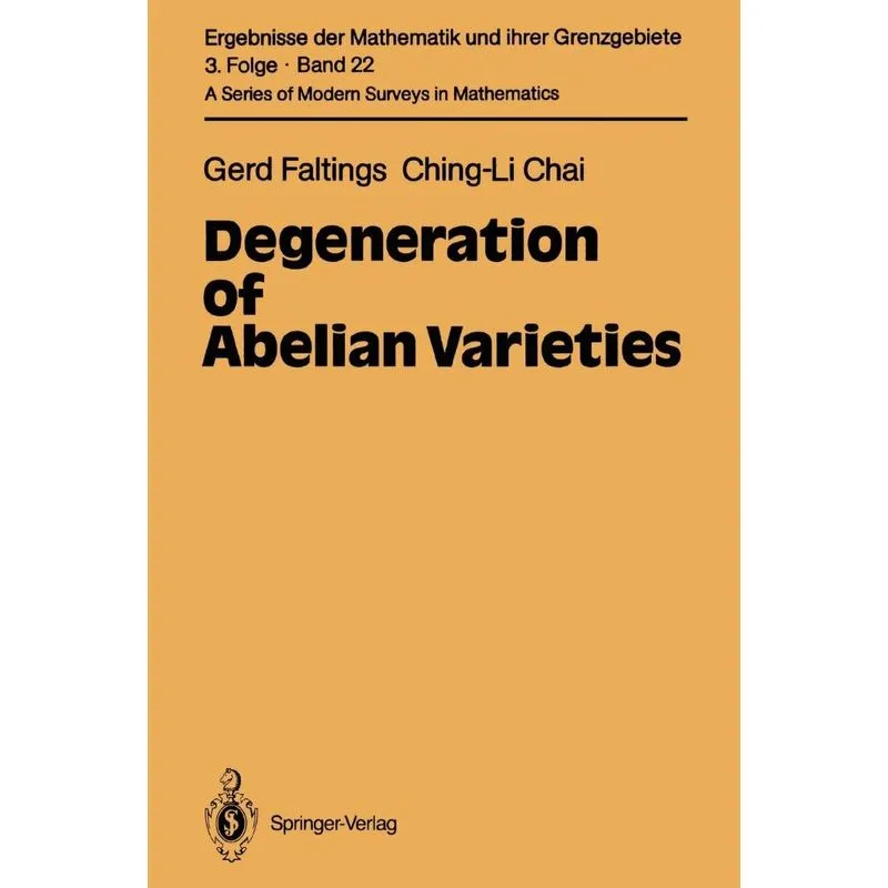 Degeneration of Abelian Varieties