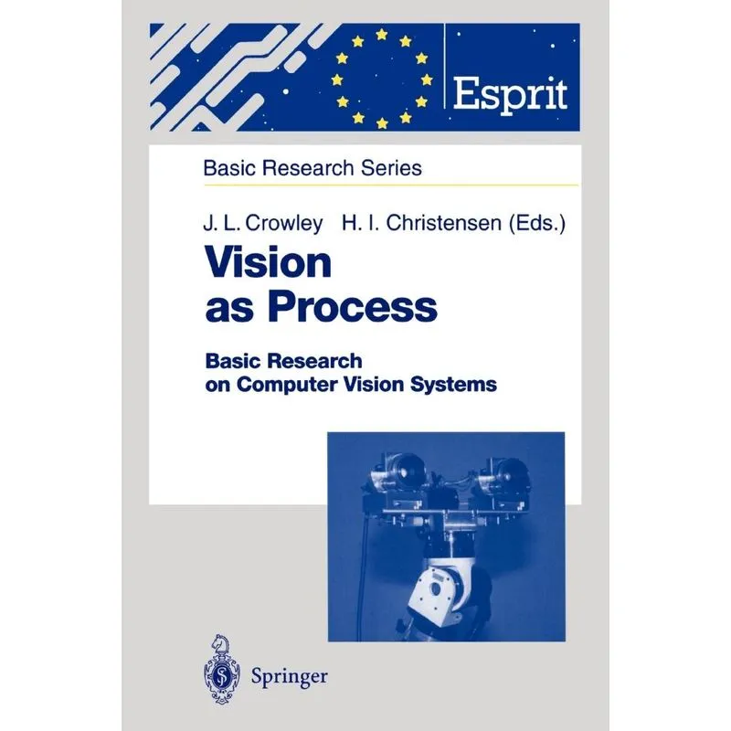 Vision as Process