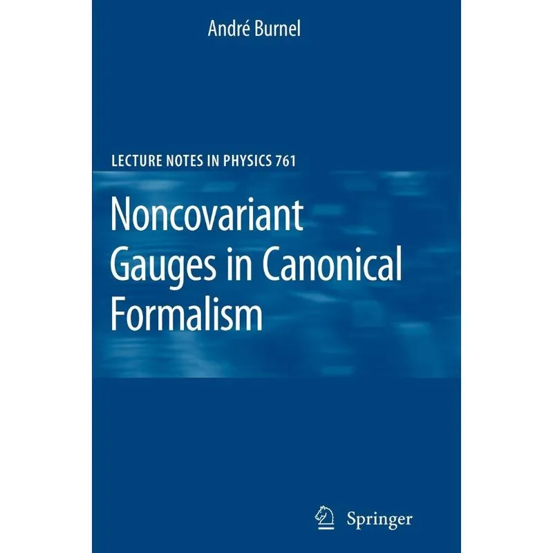 Noncovariant Gauges in Canonical Formalism