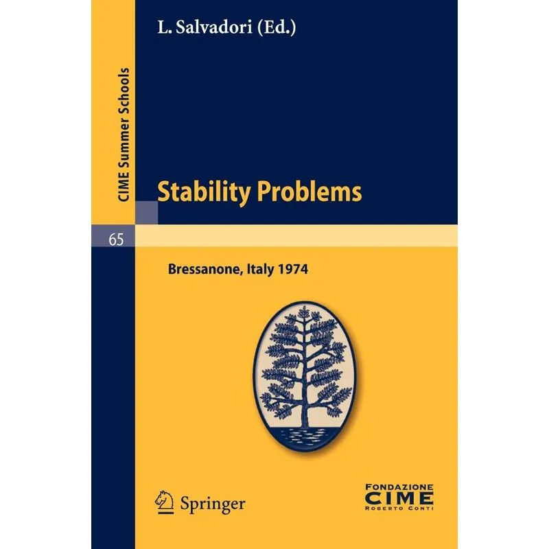 Stability Problems