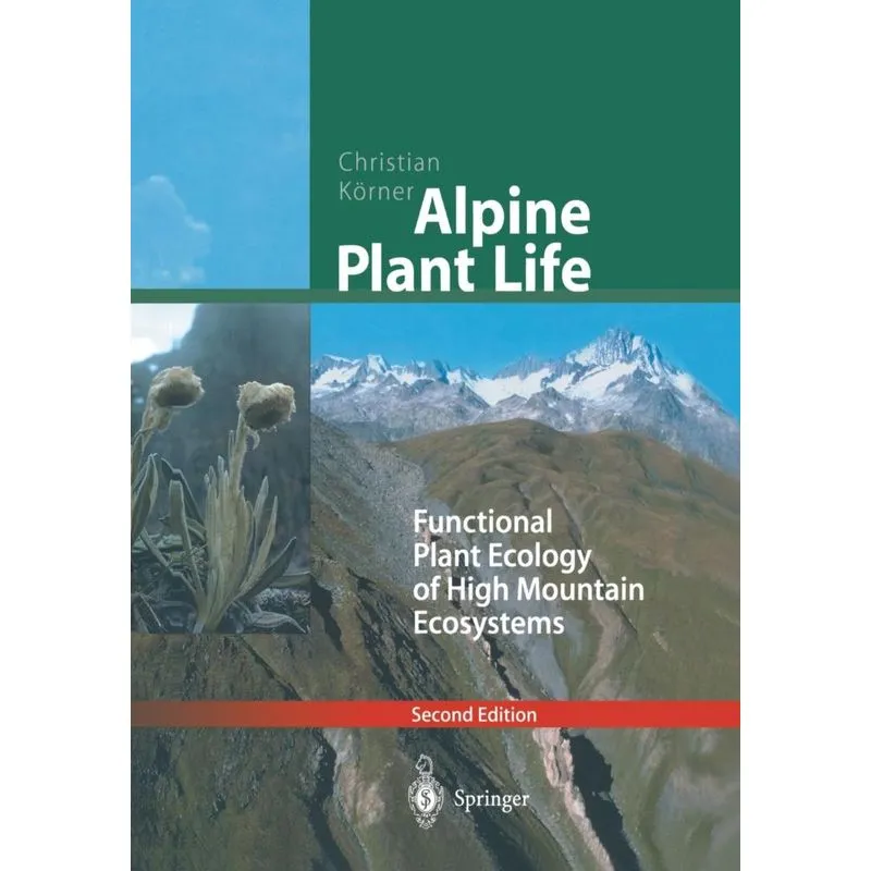 Alpine Plant Life
